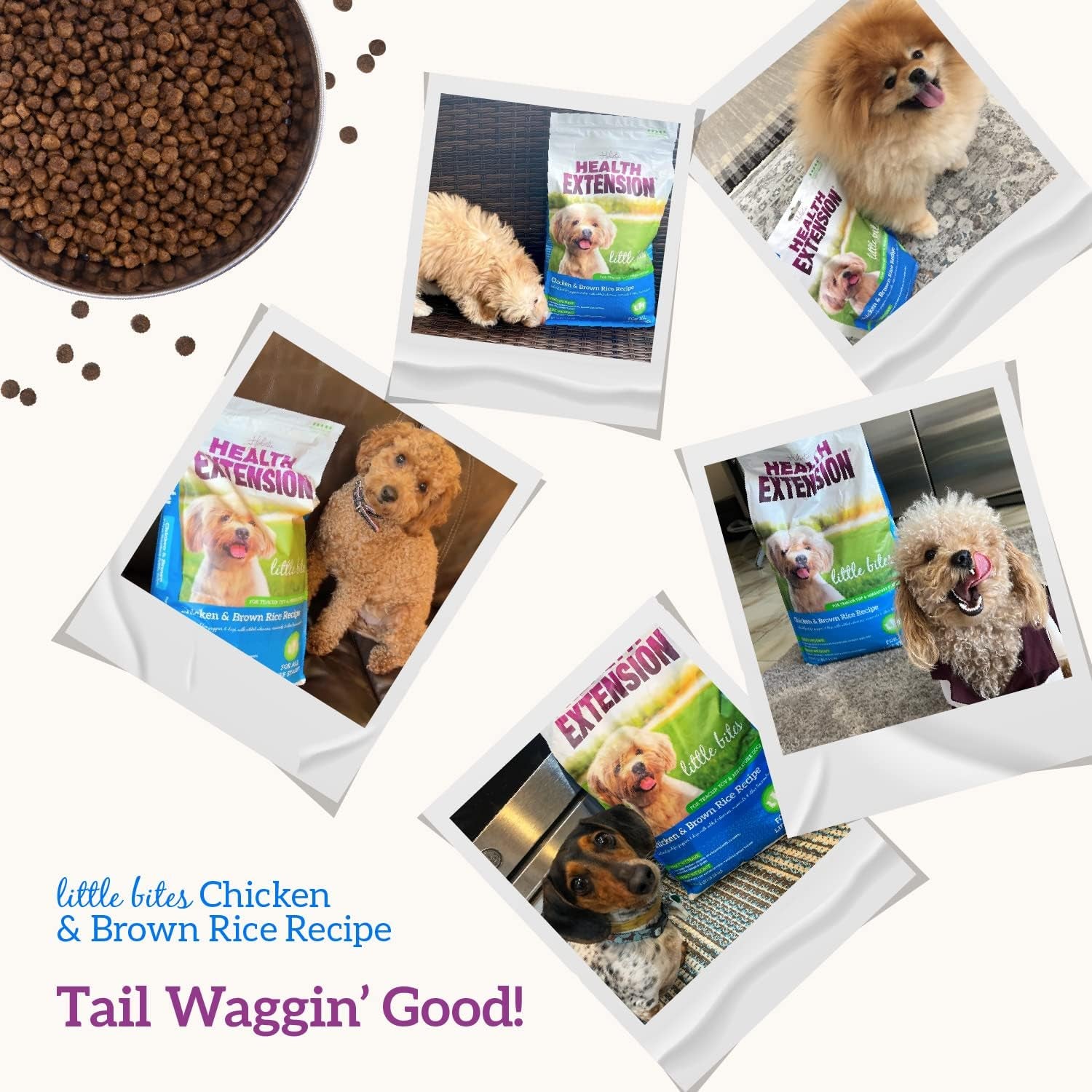 Little Bites Dry Dog Food for Small Breeds, Chicken & Brown Rice Recipe, with Probiotics & Superfoods for Digestion & Coat Health, 4 Lb Bag (Pack of 1)