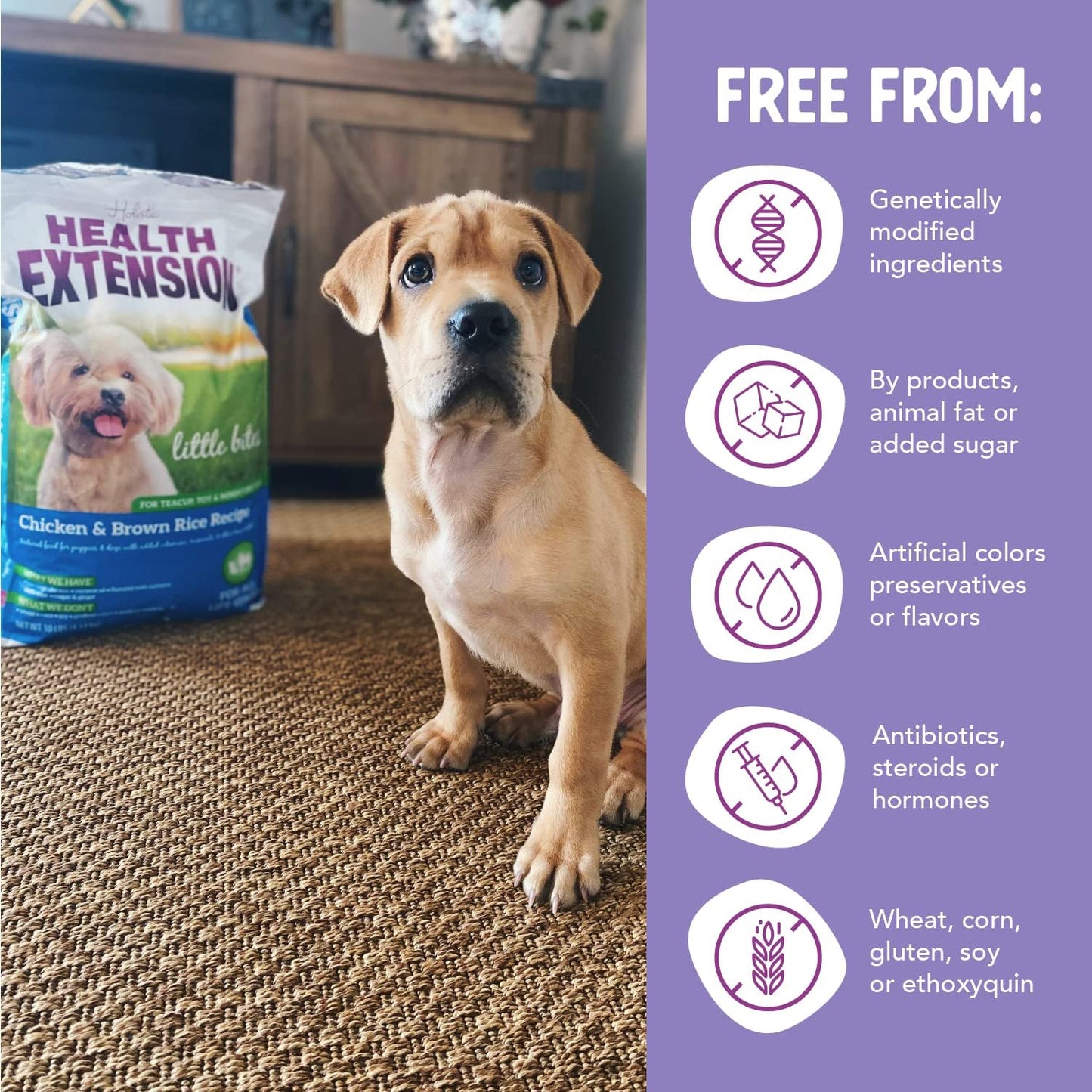 Little Bites Dry Dog Food for Small Breeds, Chicken & Brown Rice Recipe, with Probiotics & Superfoods for Digestion & Coat Health, 4 Lb Bag (Pack of 1)