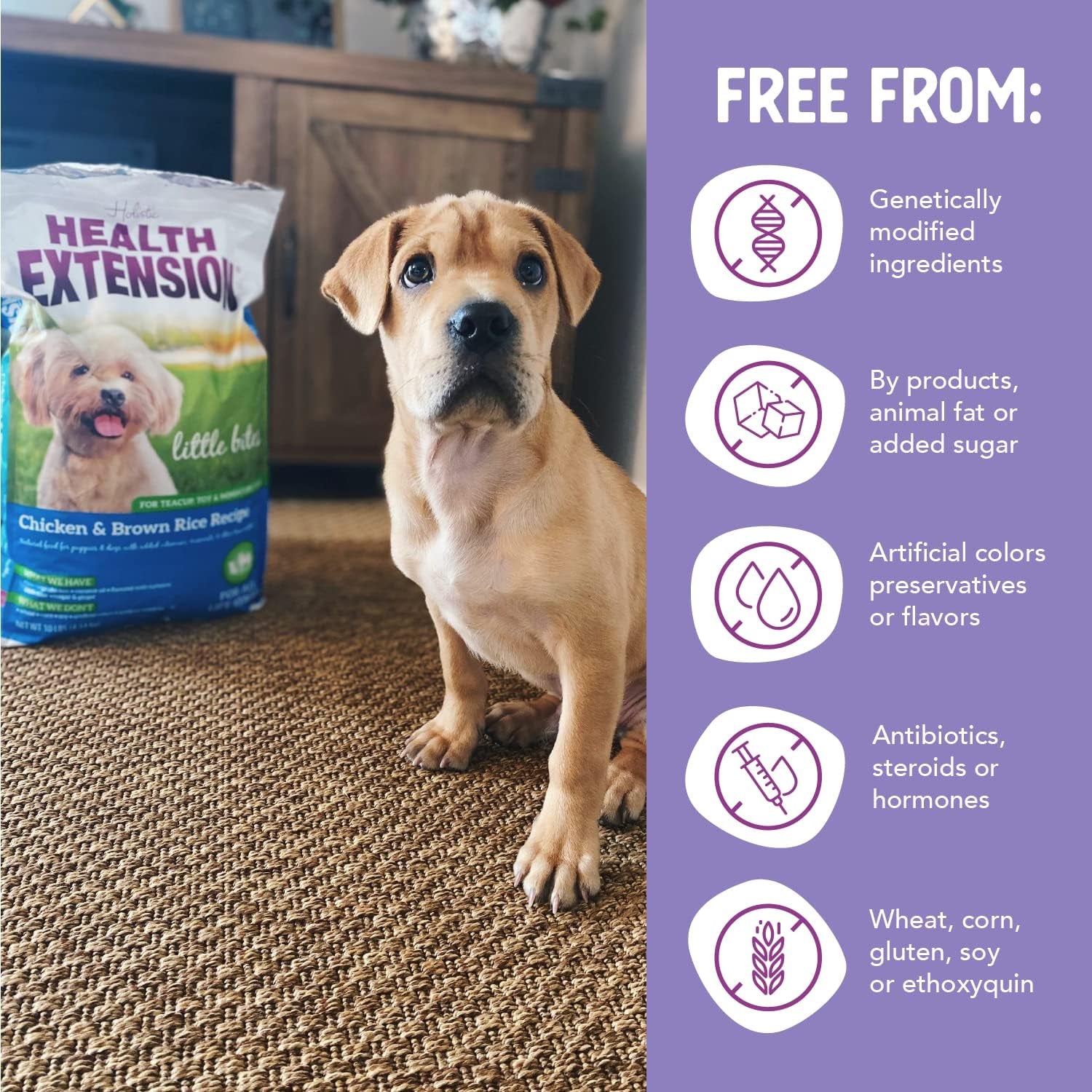 Little Bites Dry Dog Food for Small Breeds, Chicken & Brown Rice Recipe, with Probiotics & Superfoods for Digestion & Coat Health, 4 Lb Bag (Pack of 1)