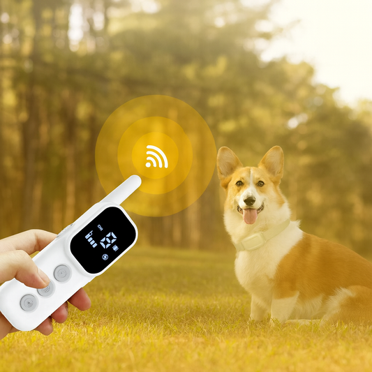 Dog Shock Collar, Dog Training Collar with Remote, Shock Collar for Dogs with Beep, Vibration, Safe Shock, Rechargeable Waterproof Dog Collar for Small Medium Large Dogs